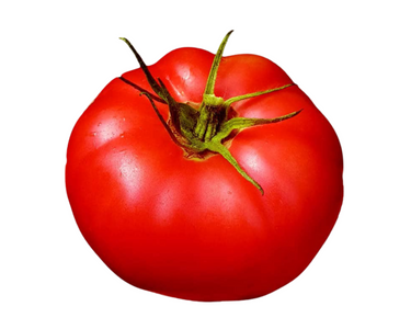 Damsel Hybrid Seeds